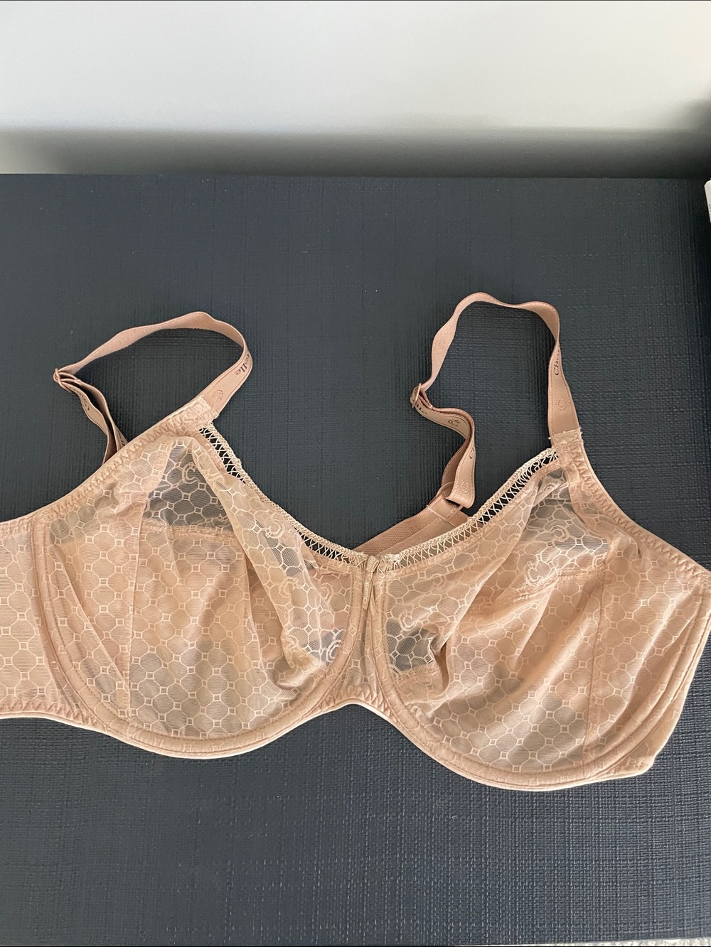 Chantelle Sheer Lace Underwire Bra in Light Nude